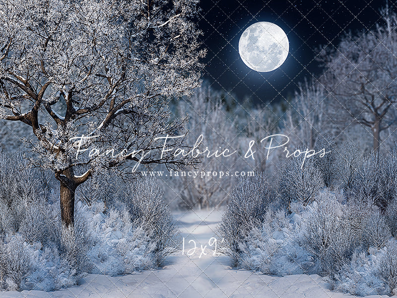 Frosty Winter Night - with Sweep Option