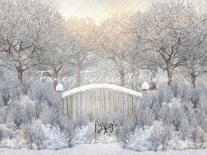 Icy Winter Gate