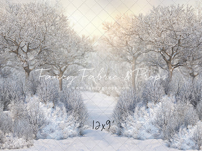 Morning Frost - with Sweep Option