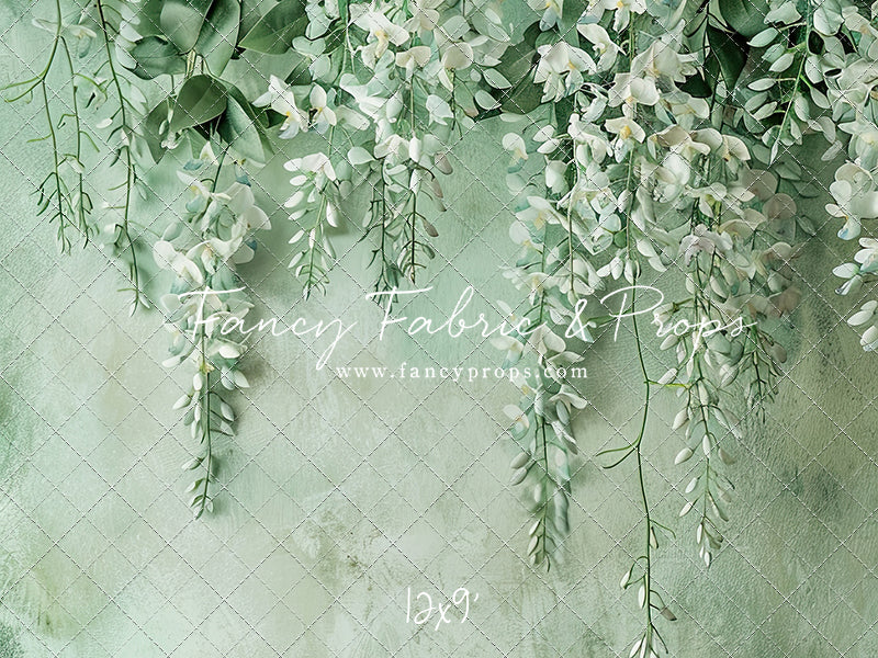 Painted White Wisteria