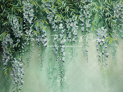 Painted Wisteria