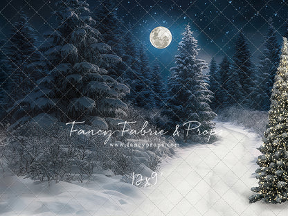 Santa Claus Candy Shop Forest