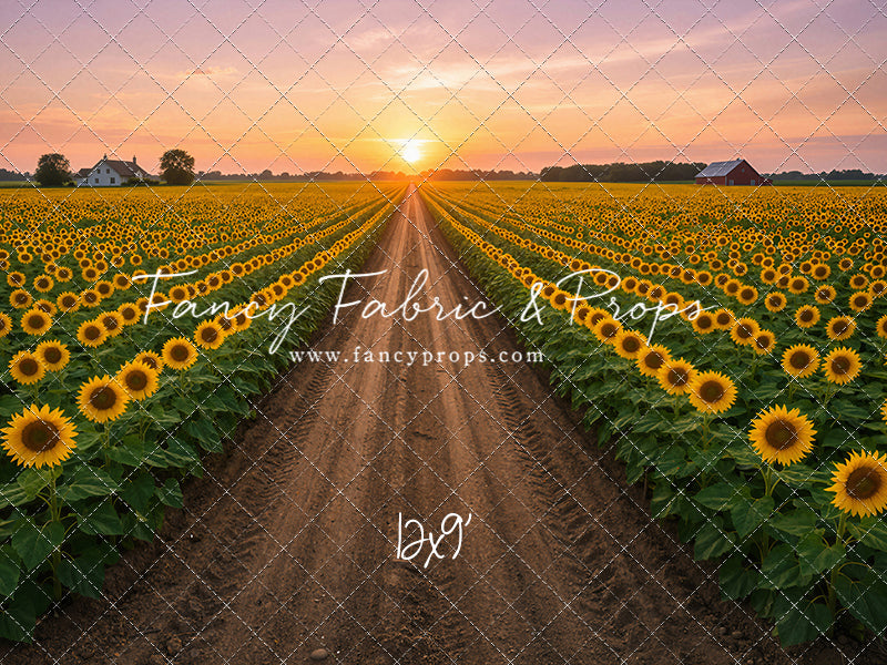 Sunflower Road - With Sweep Option