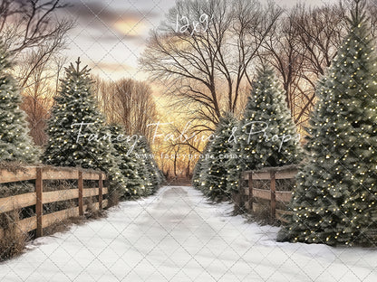 Twinkling Pines Trail - With Sweep Option