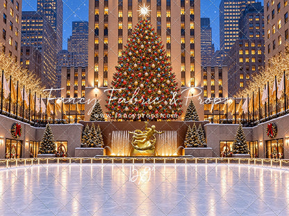 Wintertime Skating Rink - with Sweep Option