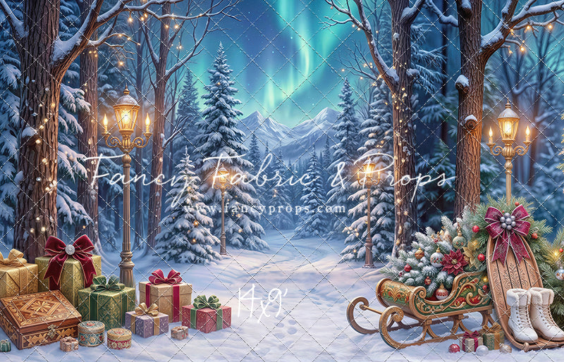 Aurora Winter Walk - with Sweep Option