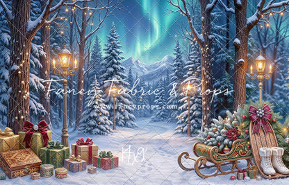 Aurora Winter Walk - with Sweep Option