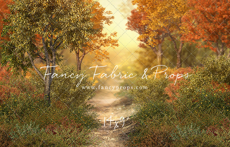 Autumn Forest Path - With Sweep Option