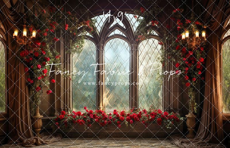 Belle's Castle Window