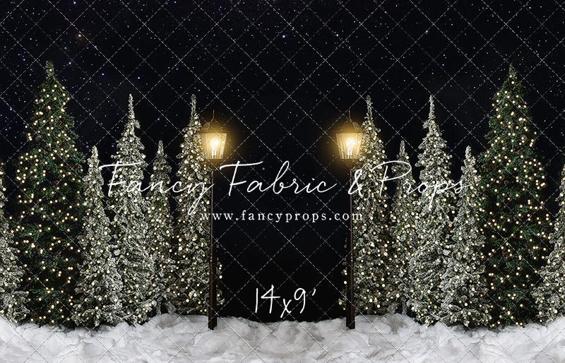 Christmas Forest Path