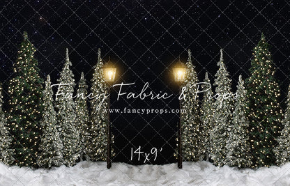 Christmas Forest Path