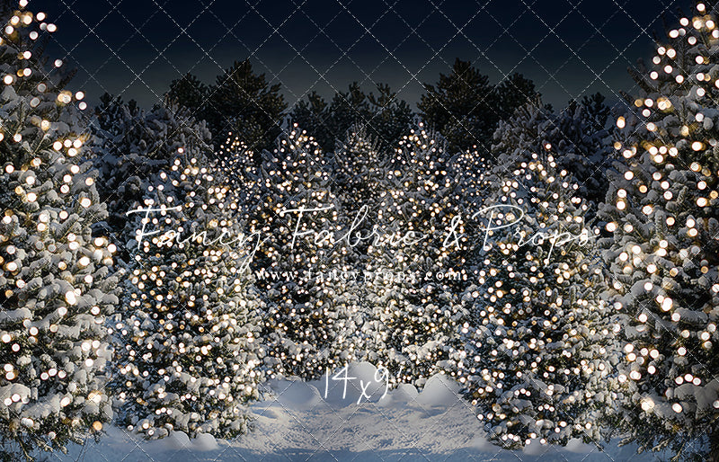 Evening Snowy Winter Tree Farm - No Gate