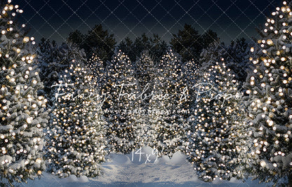 Evening Snowy Winter Tree Farm - No Gate