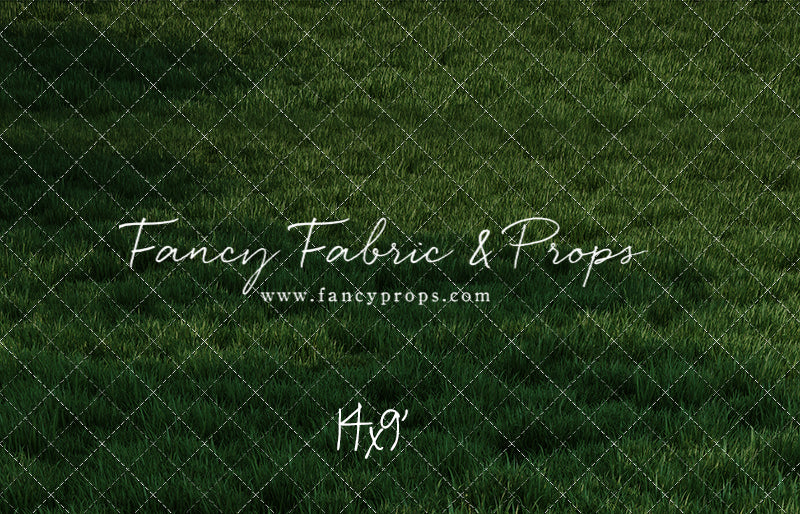 Freedom Ride Grass Floor