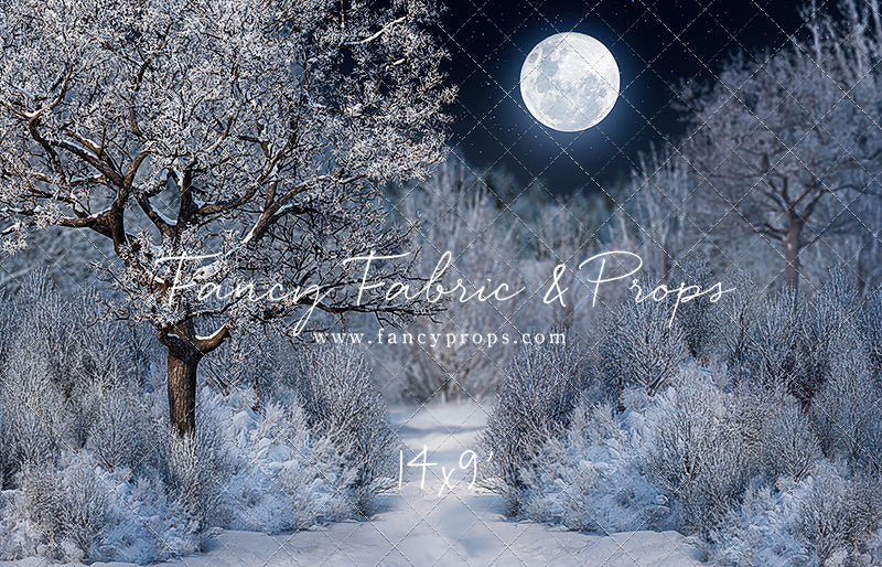 Frosty Winter Night - with Sweep Option