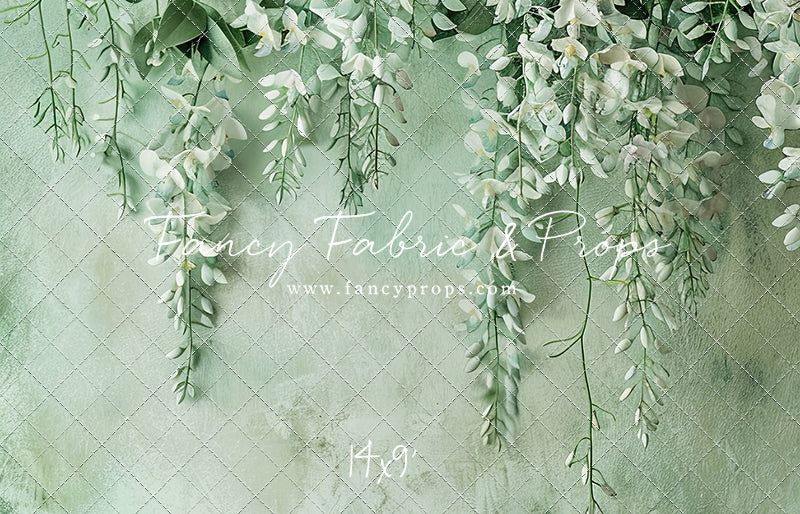 Painted White Wisteria