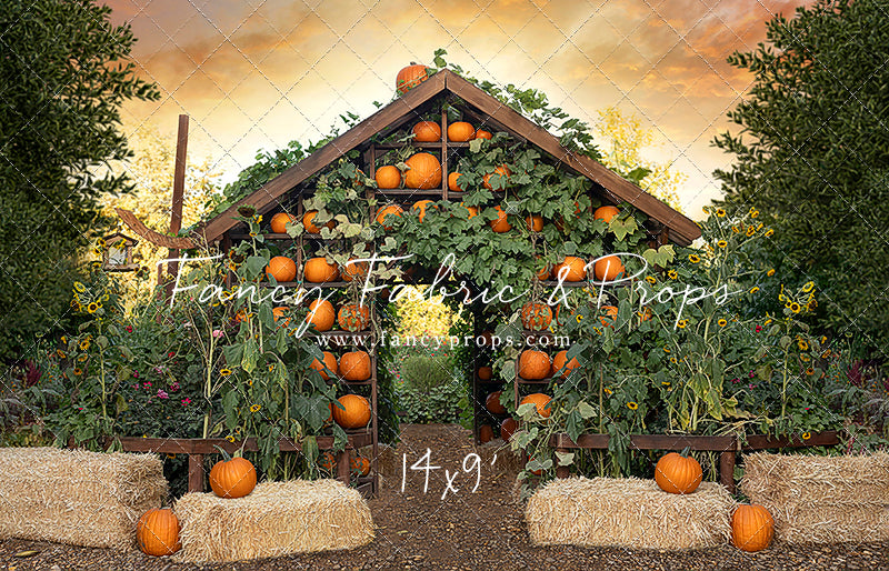 Pumpkin House