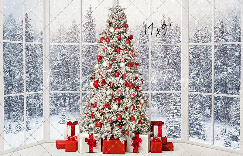 Red & White Winter Evergreens