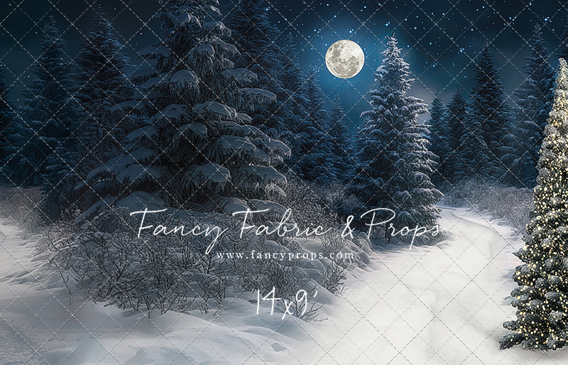 Santa Claus Candy Shop Forest