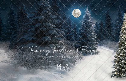 Santa Claus Candy Shop Forest