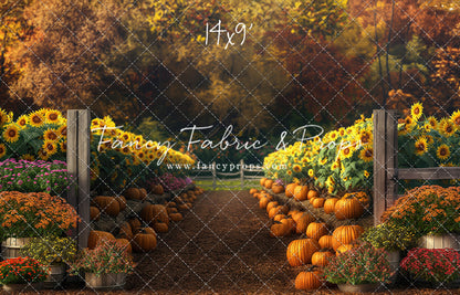 Sunflower Valley Trail - With Sweep Option