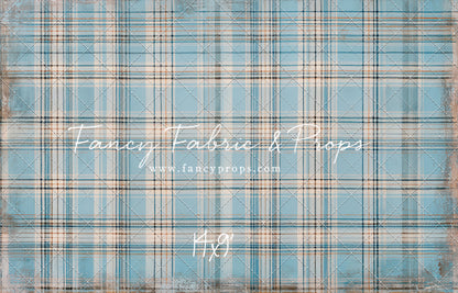 Winter Sky Gingham - With Sweep Option