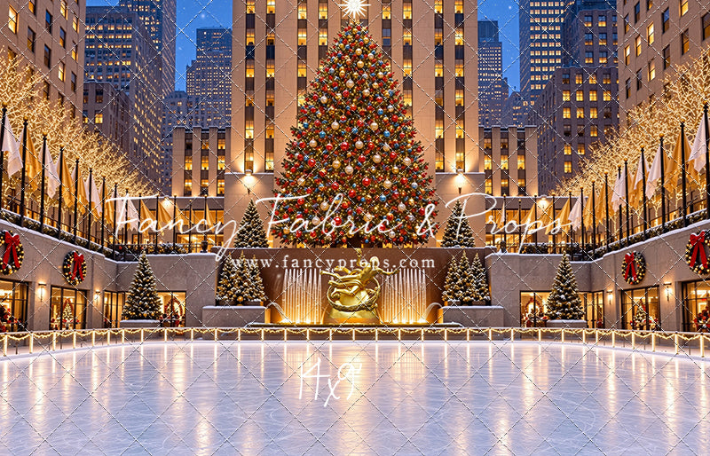 Wintertime Skating Rink - with Sweep Option
