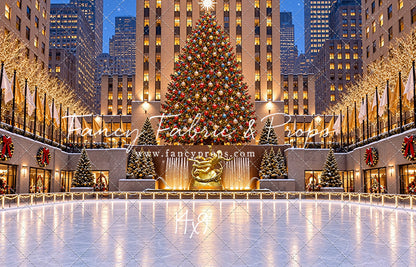 Wintertime Skating Rink - with Sweep Option