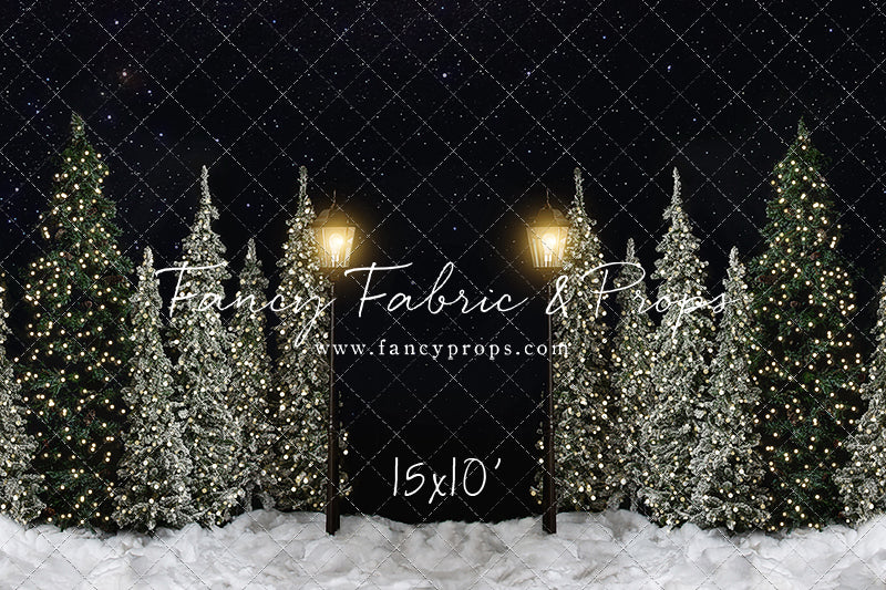 Christmas Forest Path