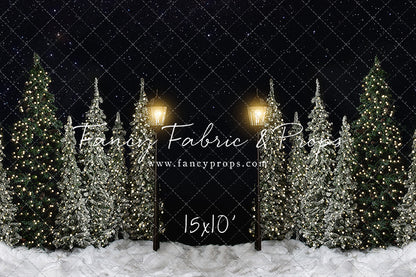 Christmas Forest Path