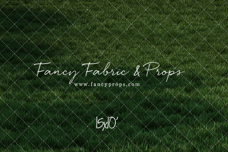 Freedom Ride Grass Floor