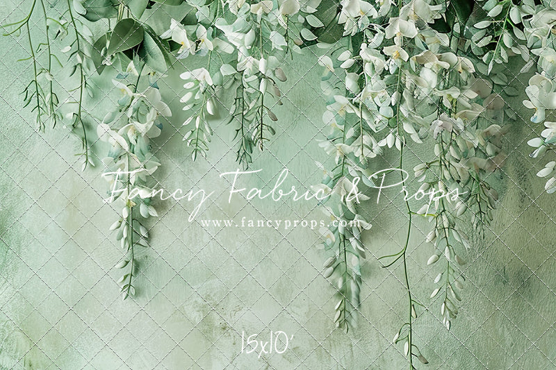 Painted White Wisteria