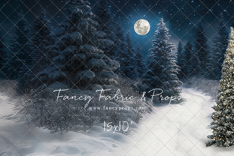 Santa Claus Candy Shop Forest