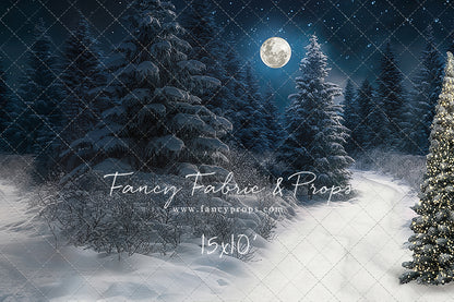 Santa Claus Candy Shop Forest