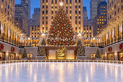Wintertime Skating Rink - with Sweep Option