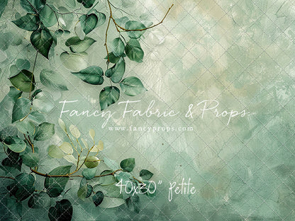 Climbing Clematis- Petite