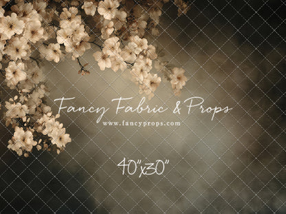 Petals In Shadow - Petite