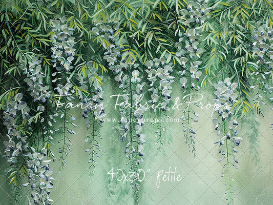 Painted Wisteria - Petite