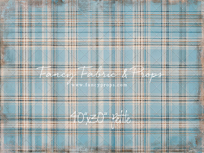 Winter Sky Gingham- Petite