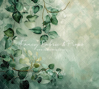 Climbing Clematis- Petite