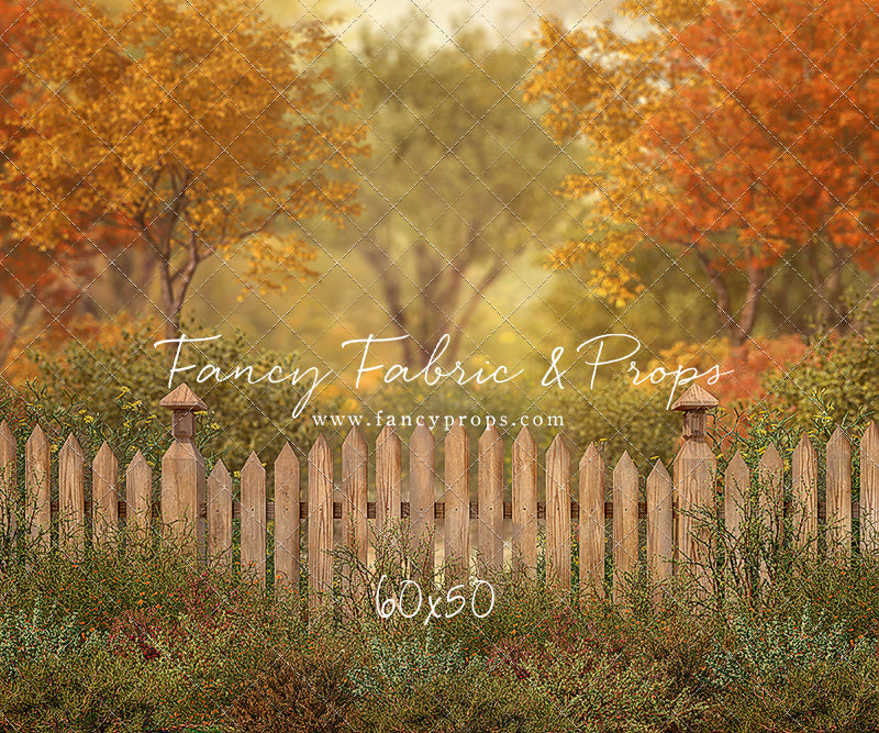 Autumn Forest Trail "Little Room"- Littles Collection