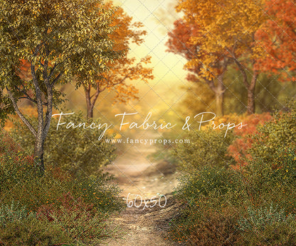 Autumn Forest Path - With Sweep Option