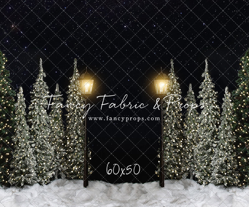 Christmas Forest Path