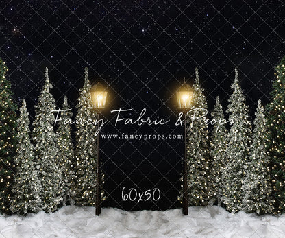 Christmas Forest Path