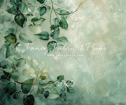 Climbing Clematis- Petite