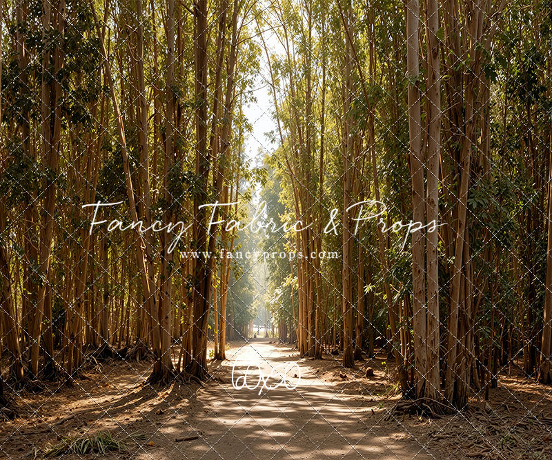 Eucalyptus Forest - With Sweep Option