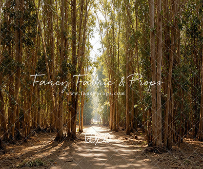 Eucalyptus Forest - With Sweep Option