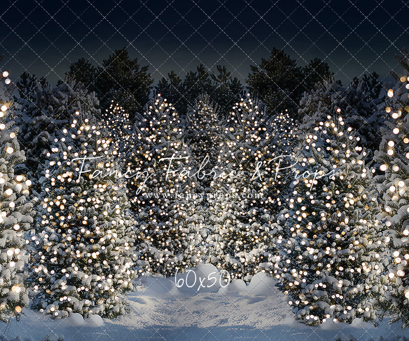Evening Snowy Winter Tree Farm - No Gate