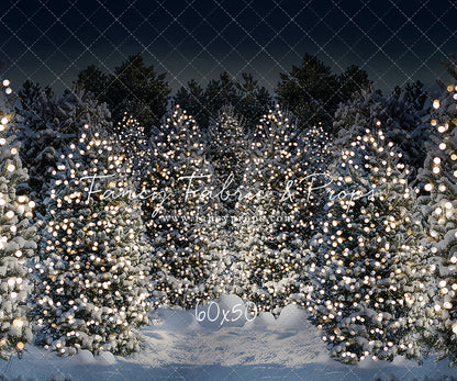 Evening Snowy Winter Tree Farm - No Gate
