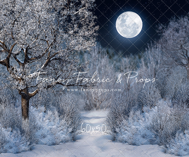 Frosty Winter Night - with Sweep Option